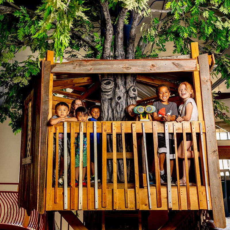 Treehouse Exhibit