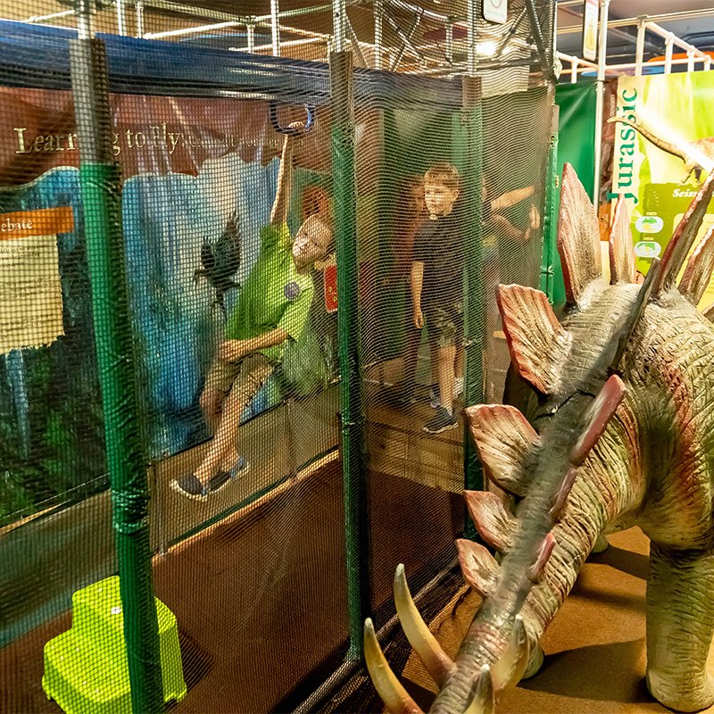 Dino Maze Exhibit at the Childrens Museum of La Crosse