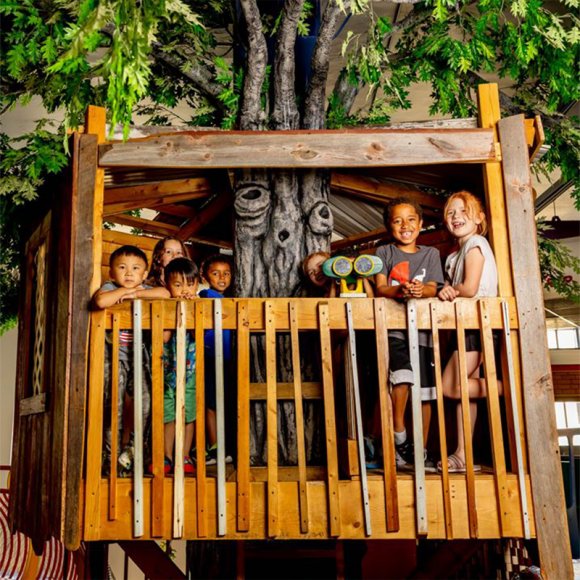 Children playing in a treehouse