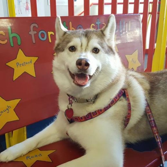 Meet Mishka!